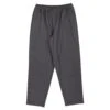 Tab Pants -Santa Cruz Shop b2c scapnt 0142