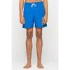 Split Strip Hand Swim Shorts 1 Split Strip Hand Swim Shorts -Santa Cruz Shop b2c scashr 0086