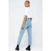 Classic Dad Jeans -Santa Cruz Shop b2c scawpt 0065