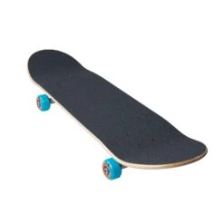 Screaming Hand Large Complete Skateboard 8.25" -Santa Cruz Shop scr com 2041 2 1